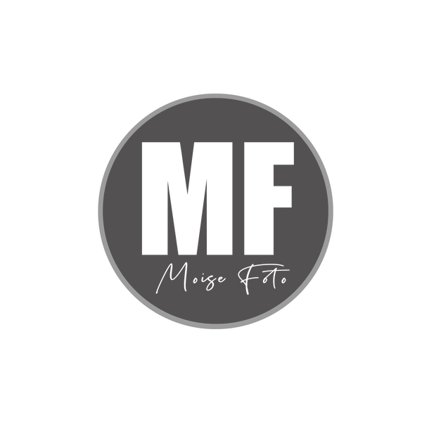 MOISE STUDIO